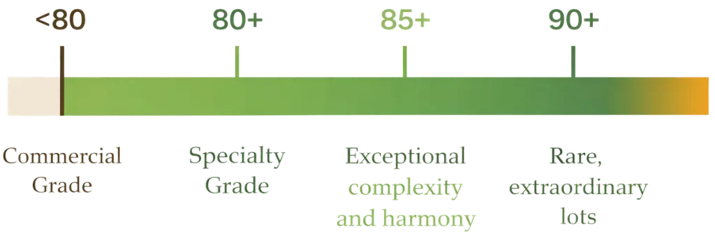 Coffee Cupping Score Grading